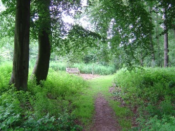 Whitegate & Marton Parish Woodland scene in the summer, a path leading to a secluded bench