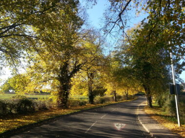 Cinder Hill