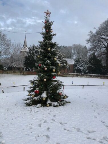 Church Green Christmas tree 2020